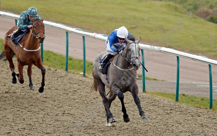 Toronado-Grey-0003 
 TORONADO GREY (Tom Queally) wins The Get Your Ladbrokes Daily Odds Boost Novice Median Auction Stakes
Lingfield 9 Jan 2021 - Pic Steven Cargill / Racingfotos.com