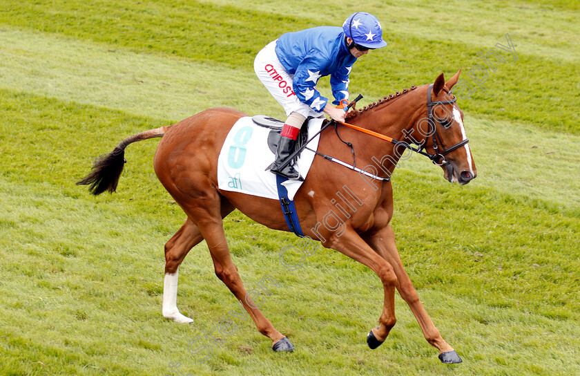 Princess-Yaiza-0001 
 PRINCESS YAIZA (Franny Norton)
Chester 9 May 2018 - Pic Steven Cargill / Racingfotos.com