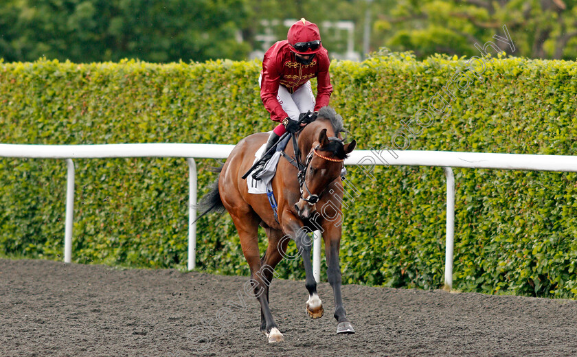 Sunstrike-0001 
 SUNSTRIKE (Oisin Murphy) winner of The Wise Betting At racingtv.com Maiden Fillies Stakes
Kempton 2 Jun 2021 - Pic Steven Cargill / Racingfotos.com