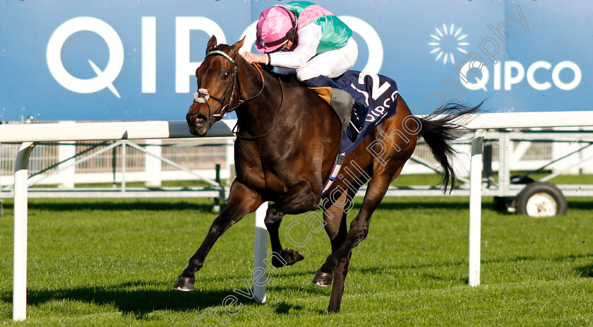 Kalpana-0009 
 KALPANA (William Buick) wins The Qipco British Champions Fillies & Mares Stakes
Ascot 19 Oct 2024 - Pic Steven Cargill / Racingfotos.com