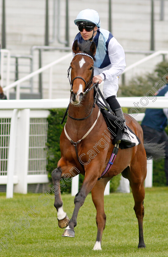 Tanager-0001 
 TANAGER (Charles Bishop)
Ascot 1 May 2024 - Pic Steven Cargill / Racingfotos.com