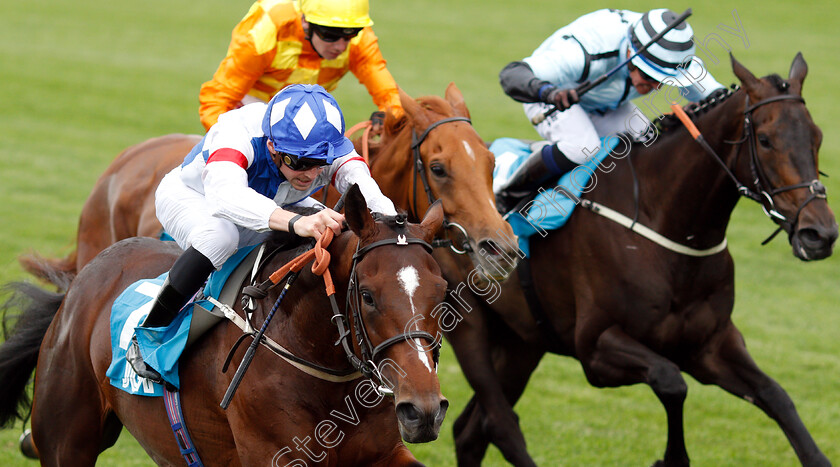 Themaxwecan-0007 
 THEMAXWECAN (James Doyle) wins The John Guest Racing Brown Jack Handicap
Ascot 26 Jul 2019 - Pic Steven Cargill / Racingfotos.com