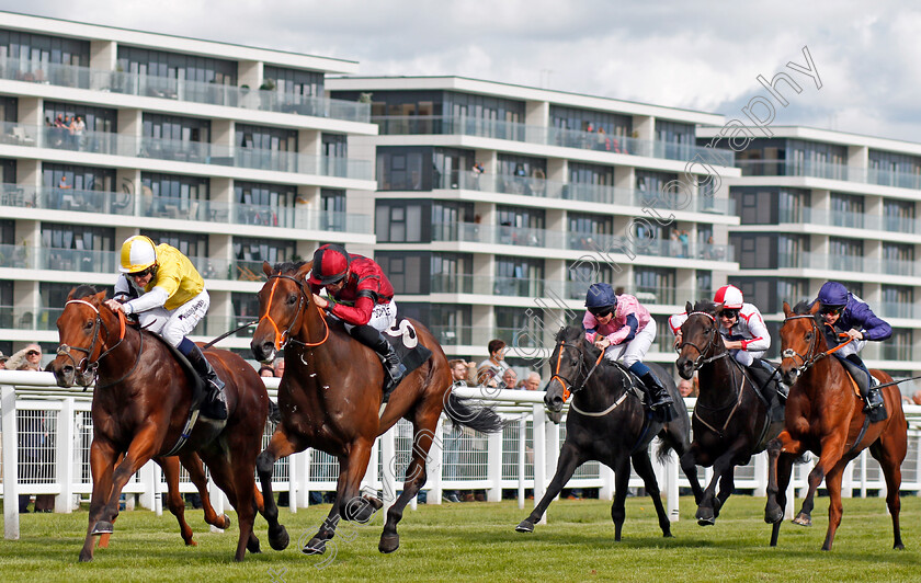 Rogue-0001 
 ROGUE (2nd left, Tom Marquand) beats RED ROMAN (left) in The Dubai Duty Free Nursery Newbury 22 Sep 2017 - Pic Steven Cargill / Racingfotos.com