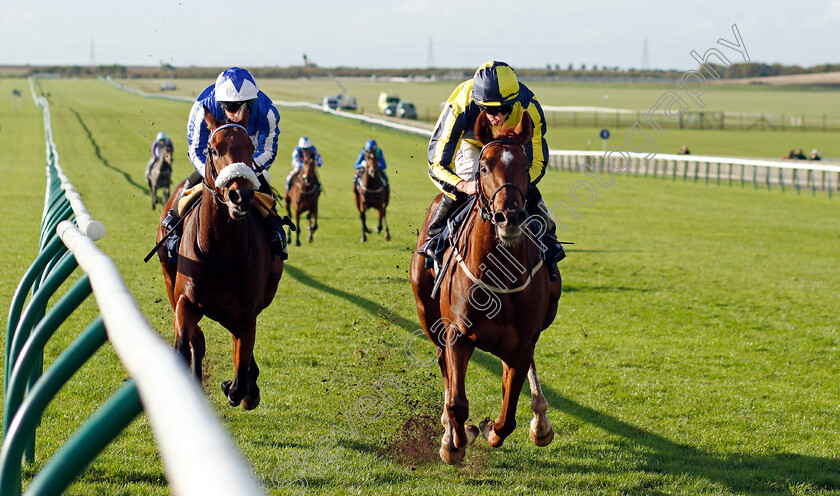 Wind-Your-Neck-In-0002 
 WIND YOUR NECK IN (right, Ryan Moore) beats AEGIS POWER (left) in The British EBF Future Stayers Nursery
Newmarket 20 Oct 2021 - Pic Steven Cargill / Racingfotos.com