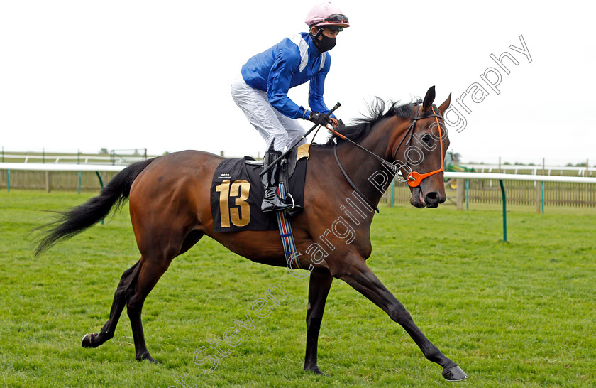 Mowaleda-0001 
 MOWALEDA (George Buckell)
Newmarket 14 May 2021 - Pic Steven Cargill / Racingfotos.com