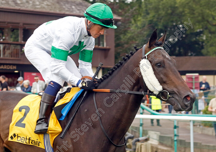 Too-Bossy-For-Us-0001 
 TOO BOSSY FOR US (Jim Crowley)
Haydock 7 Sep 2024 - Pic Steven Cargill / Racingfotos.com