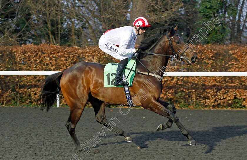 Take-A-Stand-0002 
 TAKE A STAND (Jack Mitchell)
Kempton 16 Feb 2022 - Pic Steven Cargill / Racingfotos.com