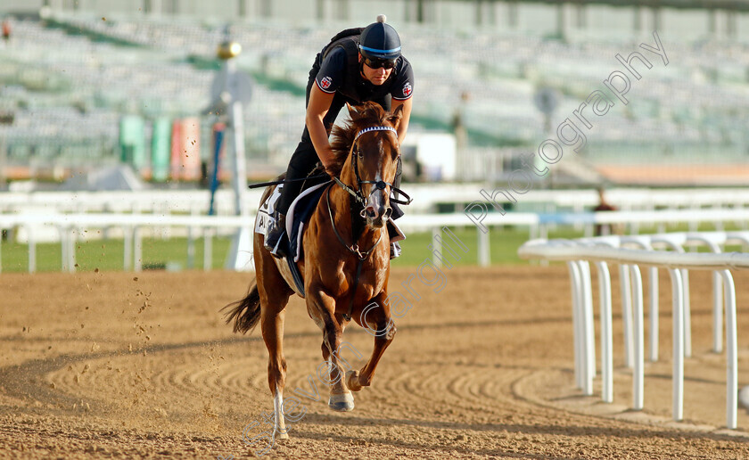 Al-Dasim-0001 
 AL DASIM training for The Al Quoz Sprint
Meydan, Dubai, 22 Mar 2023 - Pic Steven Cargill / Racingfotos.com