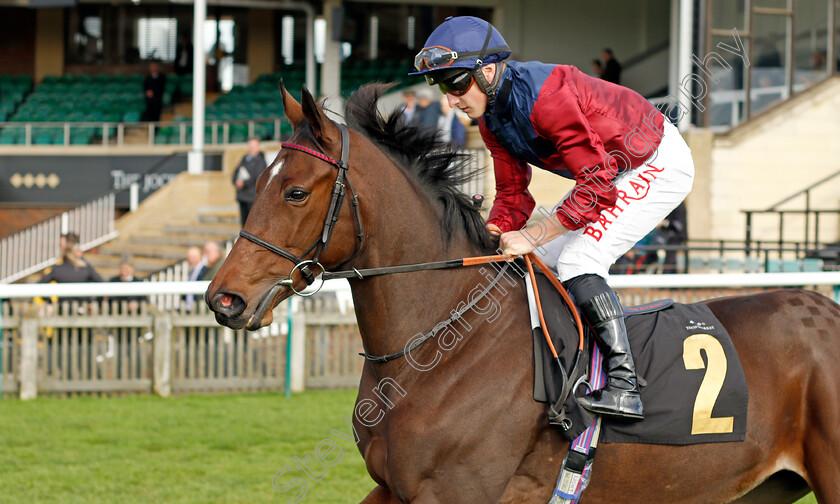 Canterbury-Bell-0001 
 CANTERBURY BELL (Tom Marquand) winner of The Discover Newmarket Fillies Restricted Novice Stakes Div1
Newmarket 20 Oct 2021 - Pic Steven Cargill / Racingfotos.com