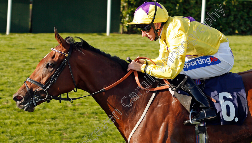 What-A-Home-0003 
 WHAT A HOME (Paul Hanagan) wins The Breeders Series EBF Fillies Handicap Doncaster 14 Sep 2017 - Pic Steven Cargill / Racingfotos.com