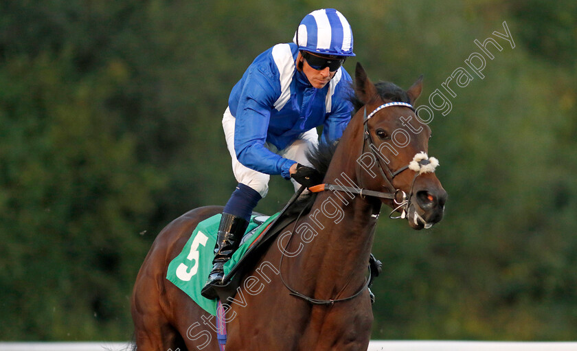 Eben-Zaabeel-0002 
 EBEN ZAABEEL (Jim Crowley)
Kempton 2 Oct 2024 - pic Steven Cargill / Racingfotos.com