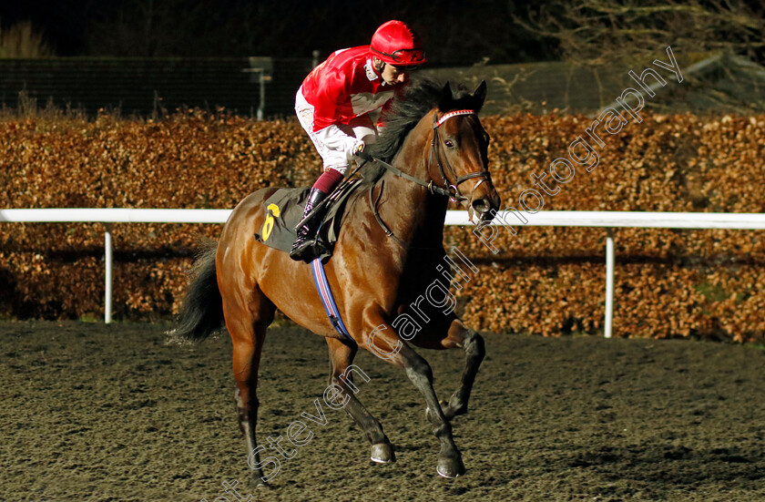 Rogue-Encore-0001 
 ROGUE ENCORE (Oisin Murphy)
Kempton 14 Feb 2024 - Pic Steven Cargill / Racingfotos.com