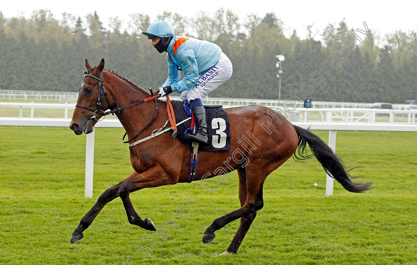 The-Gatekeeper-0001 
 THE GATEKEEPER (Ben Curtis)
Newbury 15 May 2021 - Pic Steven Cargill / Racingfotos.com