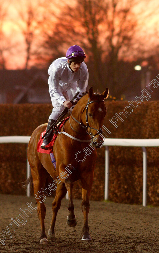 Charming-Kid-0001 
 CHARMING KID (Barry McHugh)
Kempton 4 Jan 2019 - Pic Steven Cargill / Racingfotos.com