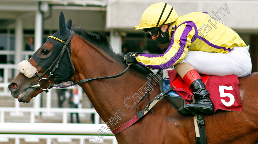 Billy-No-Mates-0005 
 BILLY NO MATES (Connor Beasley) wins The Watch Racing On Betfair For Free Handicap
Haydock 4 Sep 2020 - Pic Steven Cargill / Racingfotos.com