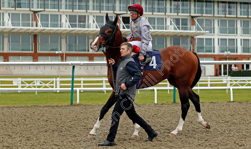 Toast-Of-New-York-0005 
 TOAST OF NEW YORK (Frankie Dettori) before winning The Betway Conditions Stakes Lingfield 6 Dec 2017 - Pic Steven Cargill / Racingfotos.com