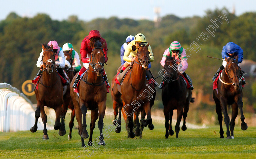 King-Of-Comedy-0005 
 KING OF COMEDY (Frankie Dettori) beats ROSEMAN (centre) in The Matchbook Low Commission Exchange Heron Stakes
Sandown 23 May 2019 - Pic Steven Cargill / Racingfotos.com