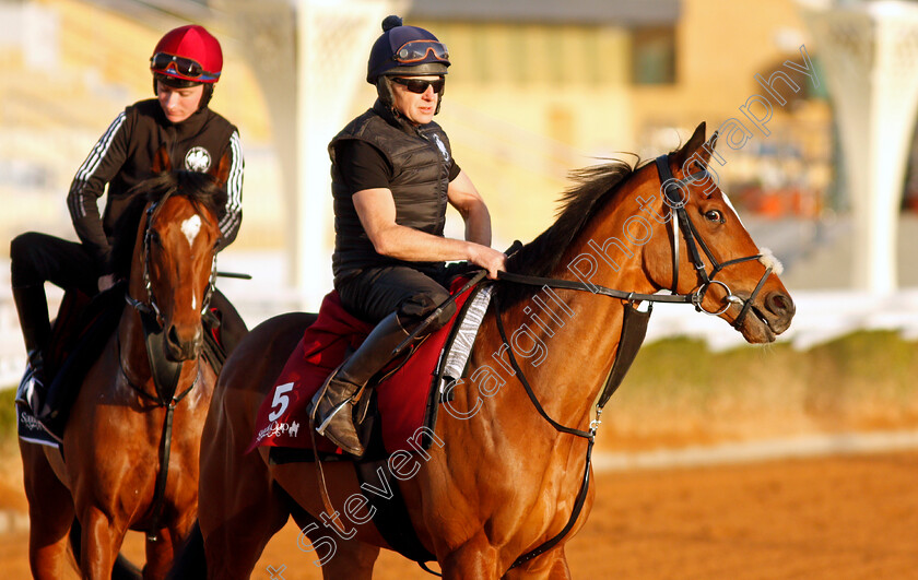 Baron-Samedi-0001 
 BARON SAMEDI training for The Turf Handicap
King Abdulaziz Racetrack, Riyadh, Saudi Arabia 23 Feb 2022 - Pic Steven Cargill / Racingfotos.com