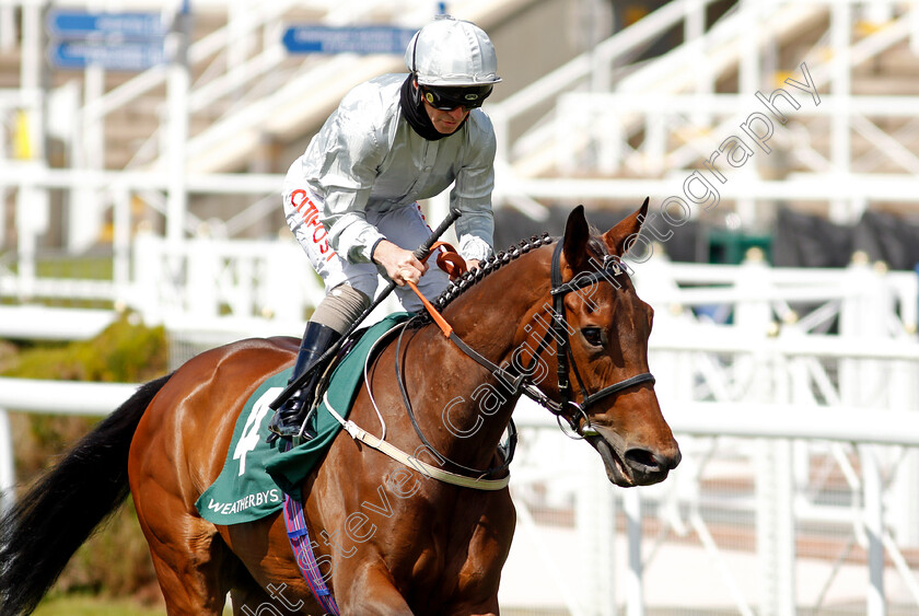 Dubai-Fountain-0001 
 DUBAI FOUNTAIN (Franny Norton) winner of The Weatherbys ePassport Cheshire Oaks
Chester 5 May 2021 - Pic Steven Cargill / Racingfotos.com