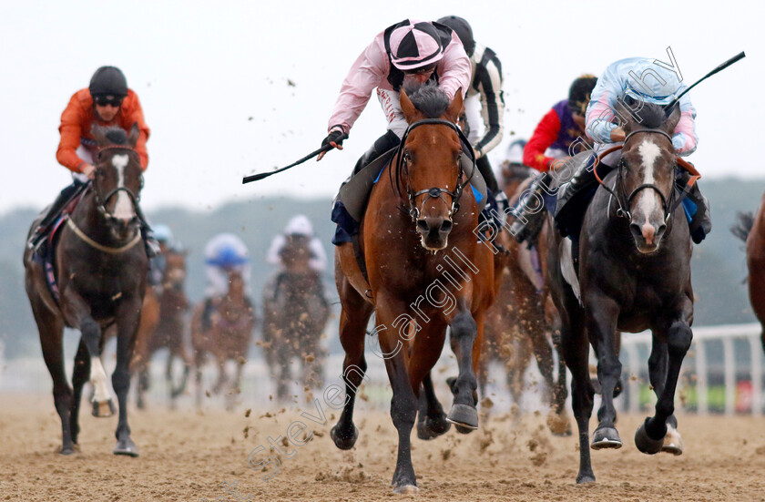 Baltimore-Boy-0004 
 BALTIMORE BOY (centre, Tom Marquand) beats INDEMNIFY (right) in The Pertemps Network Novice Stakes
Newcastle 24 Jun 2022 - Pic Steven Cargill