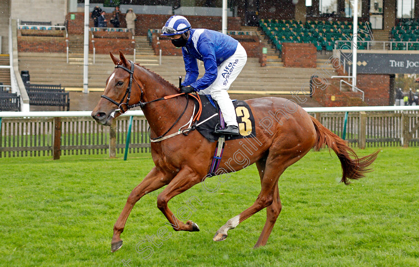 Ghumana-0001 
 GHUMANA (Jim Crowley)
Newmarket 31 Oct 2020 - Pic Steven Cargill / Racingfotos.com