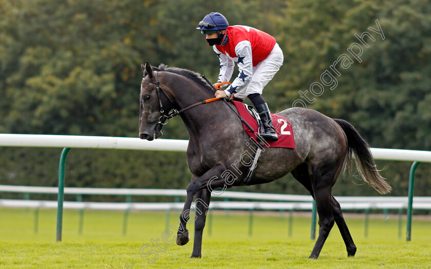 Angel-Alexander-0001 
 ANGEL ALEXANDER (Richard Kingscote)
Haydock 4 Sep 2020 - Pic Steven Cargill / Racingfotos.com