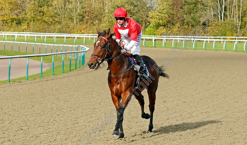 Rogue-Power 
 ROGUE POWER (Jack Mitchell)
Lingfield 28 Oct 2021 - Pic Steven Cargill / Raingfotos.com