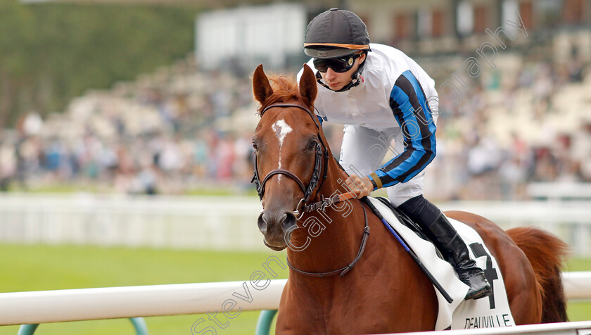 Metropolitan-0007 
 METROPOLITAN (A Pouchin) winner of the Prix de Montaigu
Deauville 12 Aug 2023 - Pic Steven Cargill / Racingfotos.com