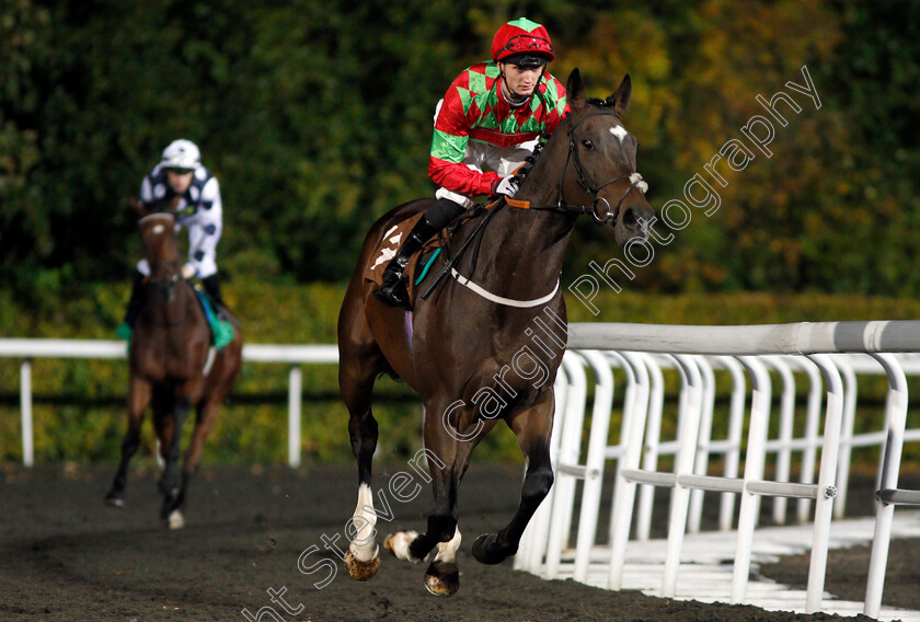 Desert-Ruler-0001 
 DESERT RULER (Jack Garritty) Kempton 4 Oct 2017 - Pic Steven Cargill / Racingfotos.com