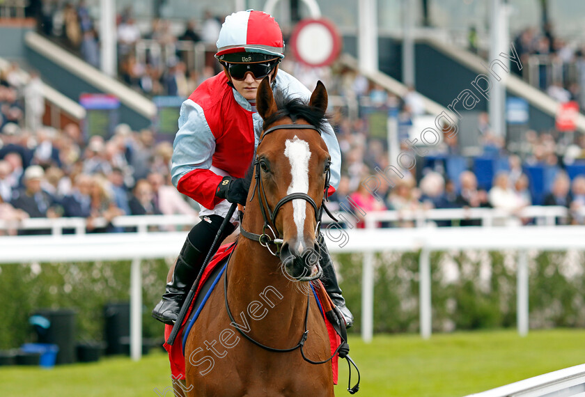 Lady-Lightning-0001 
 LADY LIGHTNING (Hollie Doyle)
Chester 8 May 2024 - Pic Steven Cargill / Racingfotos.com