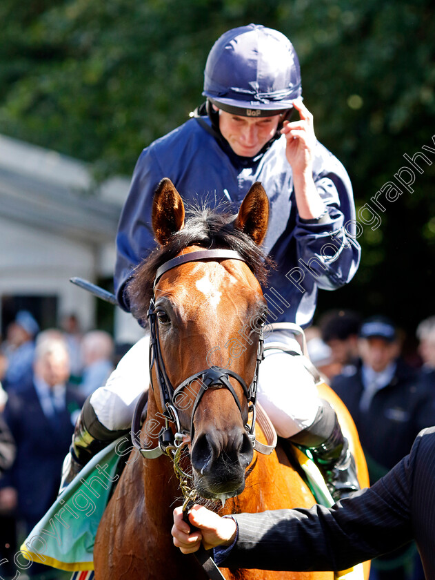 City-Of-Troy-0009 
 CITY OF TROY (Ryan Moore) winner of The bet365 Superlative Stakes
Newmarket 15 Jul 2023 - Pic Steven Cargill / Racingfotos.com