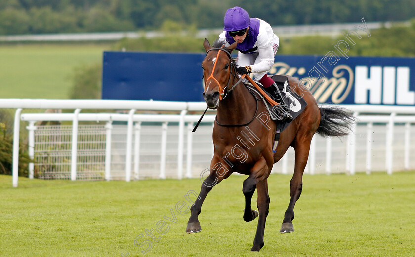 Principality-0004 
 PRINCIPALITY (Oisin Murphy) wins The Hallgarten & Novum Wines British EBF Novice Stakes
Goodwood 9 Jun 2024 - pic Steven Cargill / Racingfotos.com