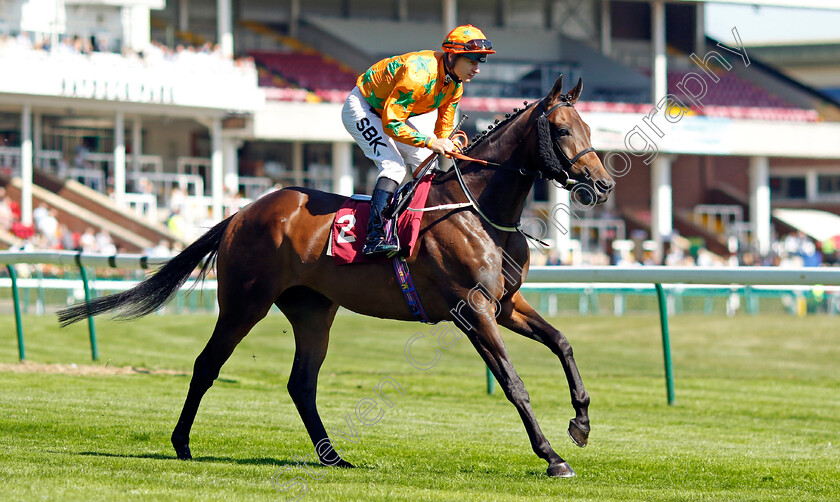 Love-Is-Golden-0006 
 LOVE IS GOLDEN (Richard Kingscote) winner of The Common Sense Lending Handicap
Haydock 1 Sep 2022 - Pic Steven Cargill / Racingfotos.com