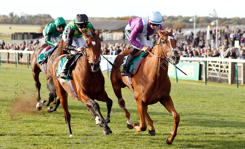 Rock-Eagle-0005 
 ROCK EAGLE (Harry Bentley) beats ASTRONOMER (left) in The bet365 Old Rowley Cup Handicap
Newmarket 12 Oct 2018 - Pic Steven Cargill / Racingfotos.com