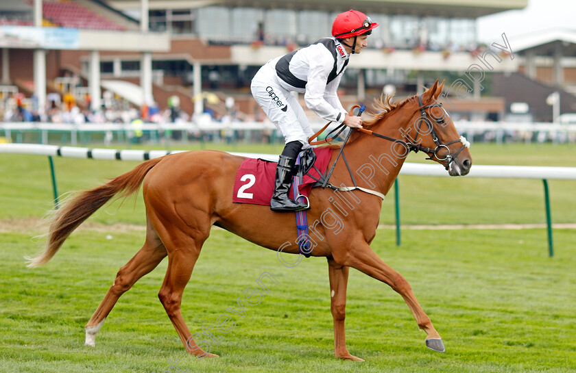 Leitzel-0007 
 LEITZEL (Daniel Tudhope) winner of The British Stallion Studs EBF Fillies Novice Stakes
Haydock 2 Sep 2022 - Pic Steven Cargill / Racingfotos.com