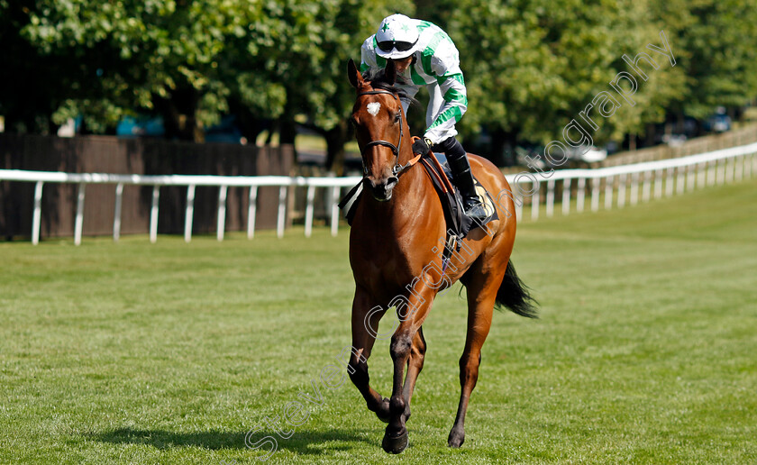 Witch-Hunter-0001 
 WITCH HUNTER (Sean Levey)
Newmarket 29 Jun 2024 - Pic Steven Cargill / Racingfotos.com