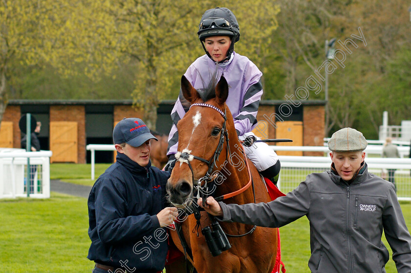 Moabit-0007 
 MOABIT (Megan Nicholls) after The Betfred City Bowl Handicap Salisbury 29 Apr 2018 - Pic Steven Cargill / Racingfotos.com