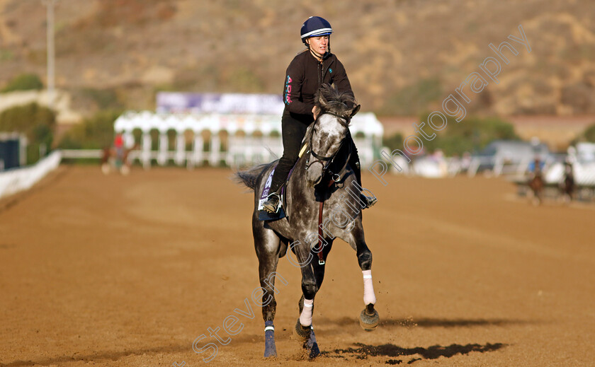 Post-Time-0003 
 POST TIME training for the Breeders' Cup Dirt Mile
Del Mar USA 31 Oct 2024 - Pic Steven Cargill / Racingfotos.com