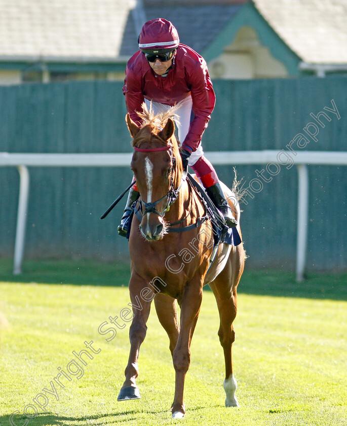 Shiva-Shakti-0001 
 SHIVA SHAKTI (Frankie Dettori)
Yarmouth 18 Oct 2022 - Pic Steven Cargill / Racingfotos.com