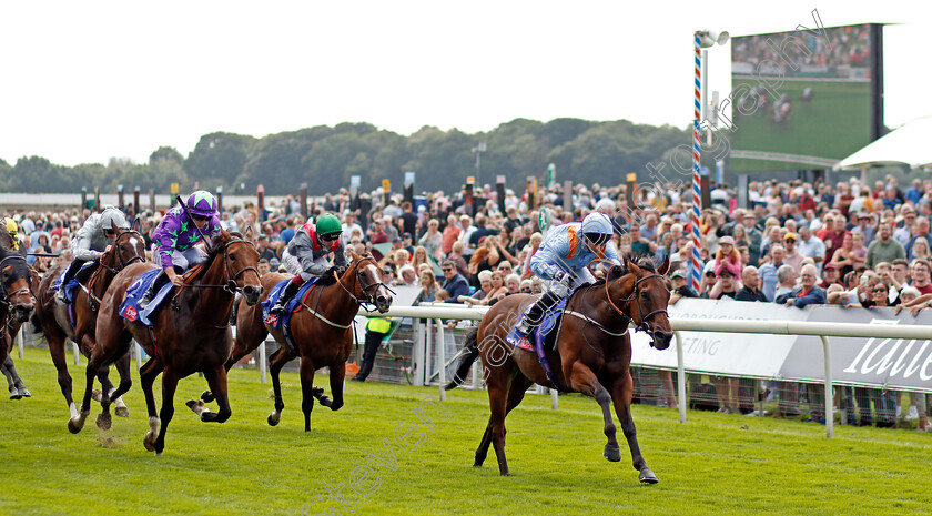 Copper-Knight-0001 
 COPPER KNIGHT (David Allan) wins The Sky Bet & Symphony Group Handicap
York 18 Aug 2021 - Pic Steven Cargill / Racingfotos.com