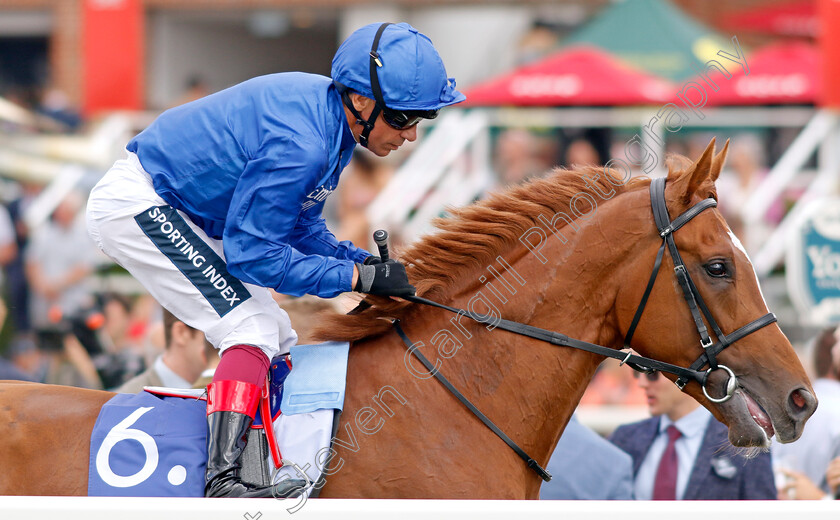 Al-Nafir-0001 
 AL NAFIR (Frankie Dettori)
York 20 Aug 2022 - Pic Steven Cargill / Racingfotos.com