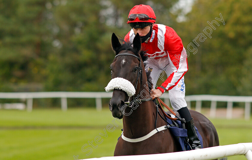 Berkshire-Miele-0001 
 BERKSHIRE MIELE (Joshua Bryan)
Lingfield 7 Sep 2020 - Pic Steven Cargill / Racingfotos.com