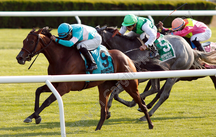 La-Signare-0003 
 LA SIGNARE (Joel Rosario) wins The Wonder Again Stakes
Belmont Park 7 Jun 2018 - Pic Steven Cargill / Racingfotos.com