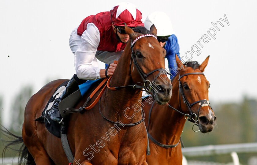 Glorious-Journey-0009 
 GLORIOUS JOURNEY (James Doyle) wins The Dubai Duty Free Cup
Newbury 18 Sep 2020 - Pic Steven Cargill / Racingfotos.com