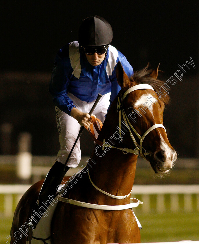 Mujaafy-0001 
 MUJAAFY (Pat Cosgrave)
Meydan 14 Feb 2019 - Pic Steven Cargill / Racingfotos.com