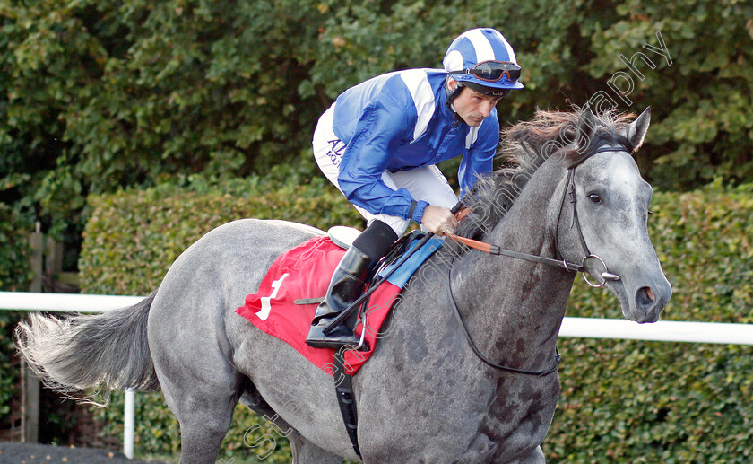 Mubakker-0002 
 MUBAKKER (Dane O'Neill) winner of The Matchbook Betting Exchange Novice Stakes
Kempton 3 Sep 2019 - Pic Steven Cargill / Racingfotos.com