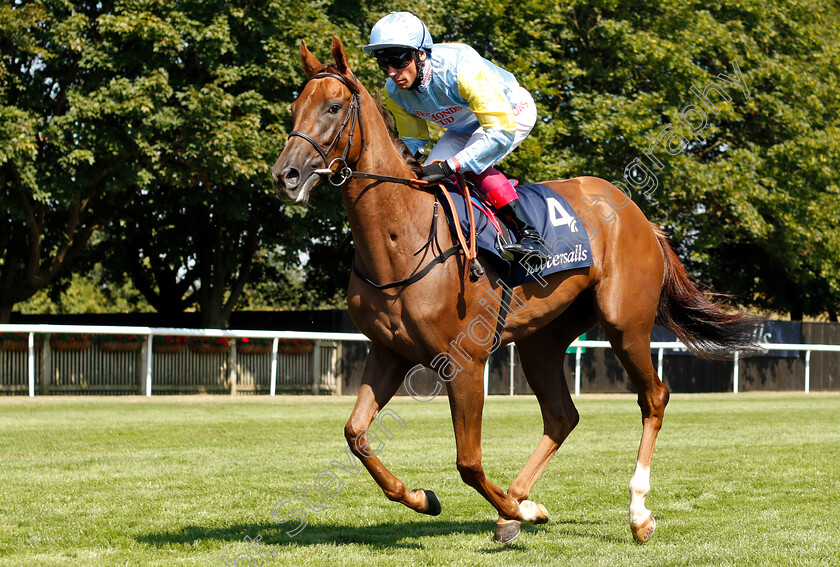 Altyn-Orda-0001 
 ALTYN ORDA (Frankie Dettori)
Newmarket 13 Jul 2018 - Pic Steven Cargill / Racingfotos.com