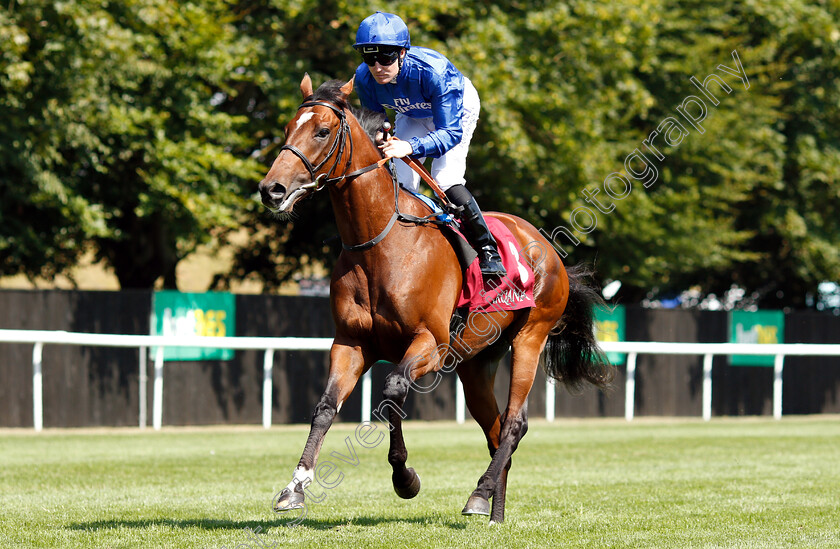 Best-Solution-0001 
 BEST SOLUTION (Pat Cosgrave) before The Princess Of Wales's Arqana Racing Club Stakes
Newmarket 12 Jul 2018 - Pic Steven Cargll / Racingfotos.com