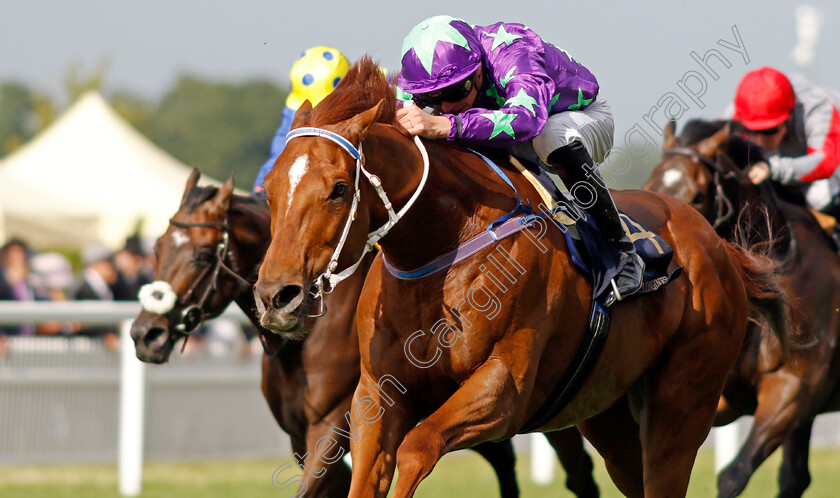 Intellogent-0003 
 INTELLOGENT (James Doyle)
Royal Ascot 15 Jun 2022 - Pic Steven Cargill / Racingfotos.com