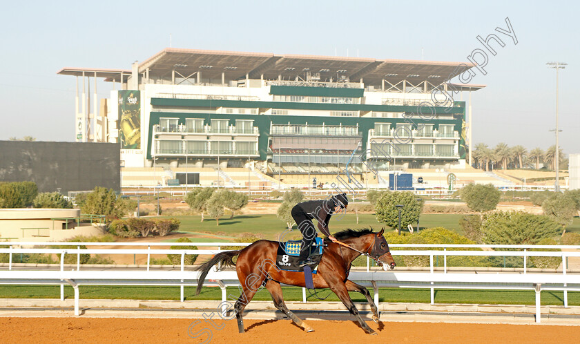 Pinehurst-0001 
 PINEHURST training for The Saudi Derby
King Abdulaziz Racetrack, Riyadh, Saudi Arabia 22 Feb 2022 - Pic Steven Cargill / Racingfotos.com